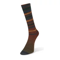 Laines du nord  Infinity Sock 