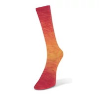  Laines du Nord Watercolor Sock 
