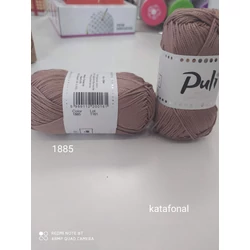 Puli 1885