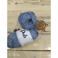 Puli 1571