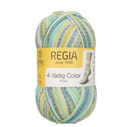 Regia 4 ply 3795 Türkiz lime
