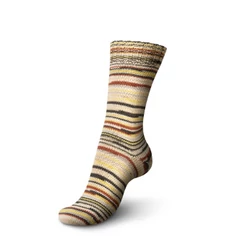 Seasons Color 3876