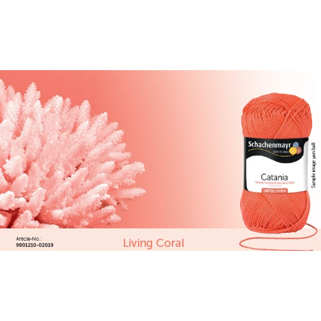 Catania Coral  2019