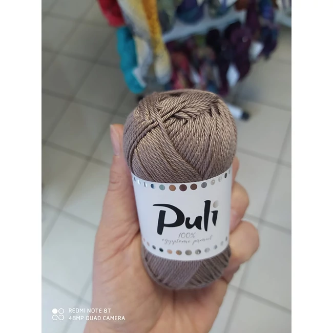 Puli 1888