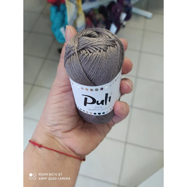 Puli 2921