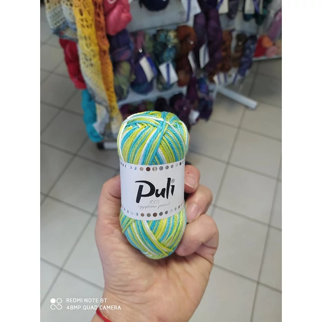 Puli multicolor 10