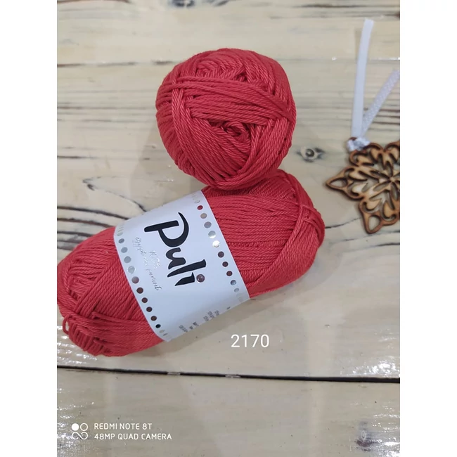 Puli 2170