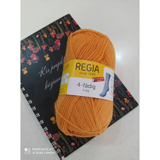 Regia 4ply 1054 Sütőtök