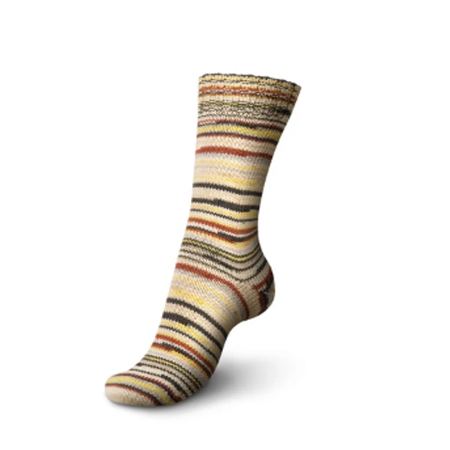 Seasons Color 3876