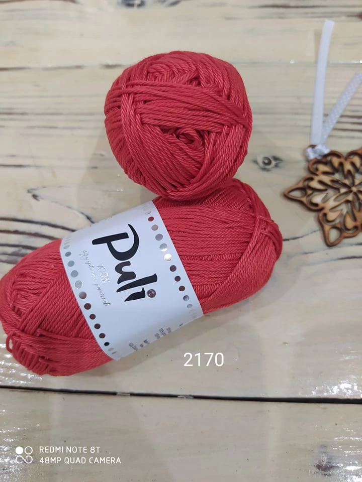 Puli 2170