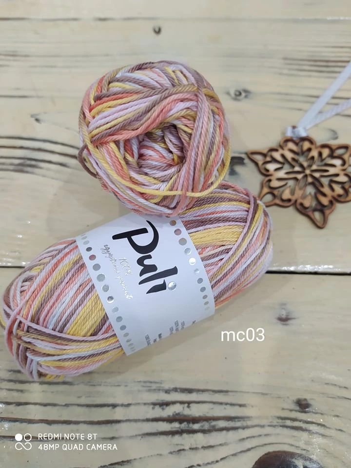 Puli multicolor 03