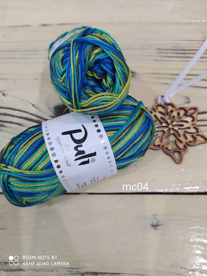 Puli multicolor 04