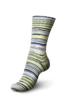 Seasons Color 3874